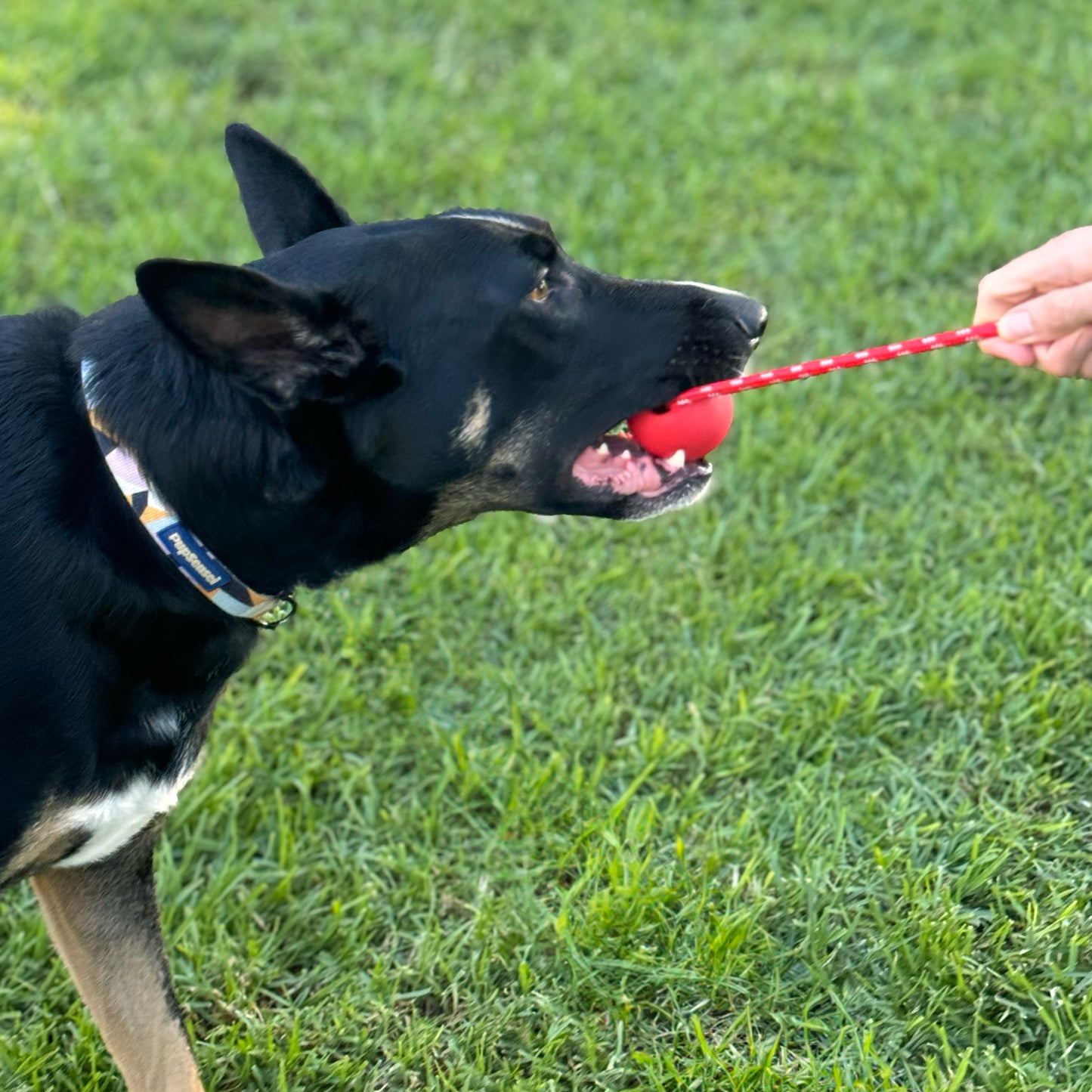 Ball with Rope