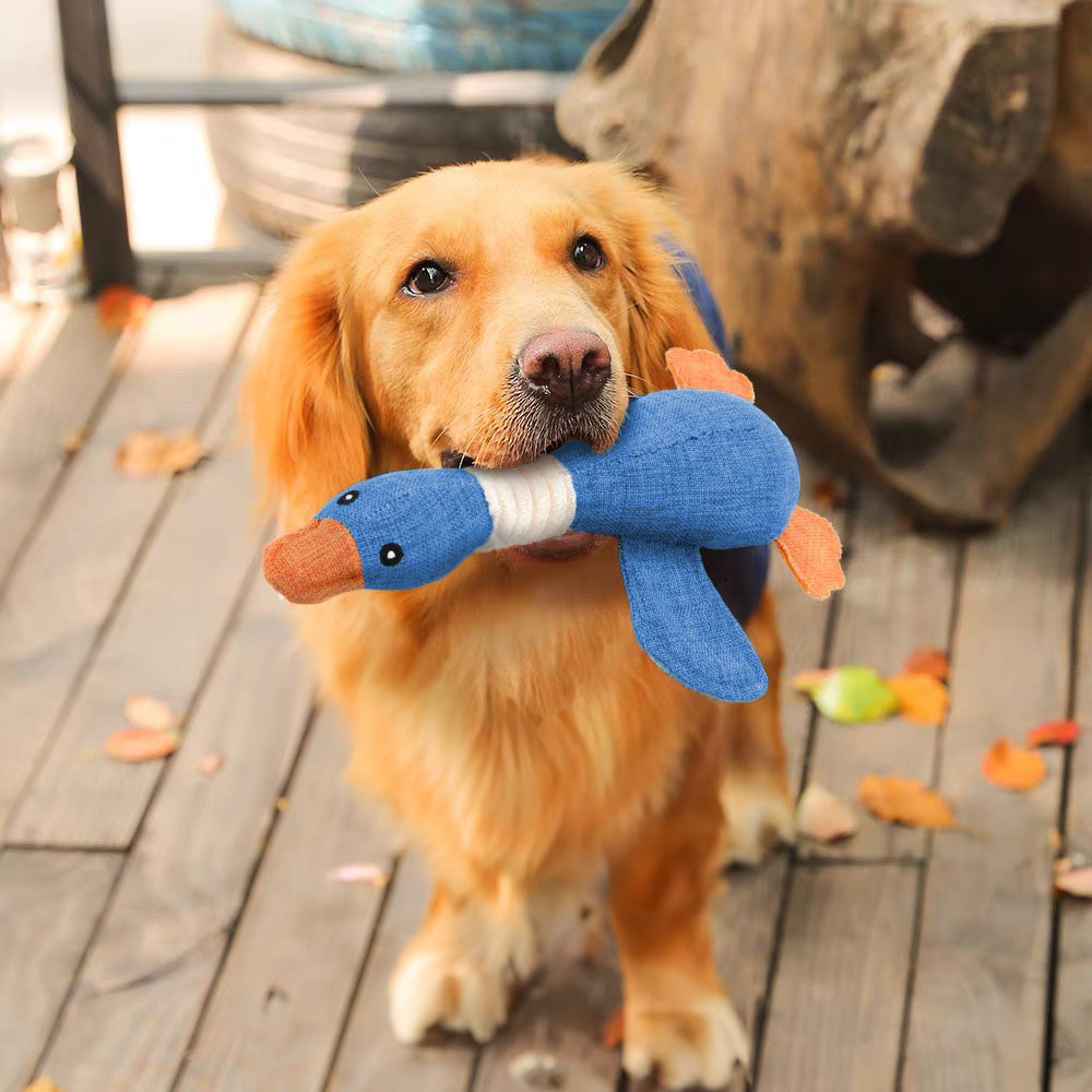 Squeaky Goose Toy