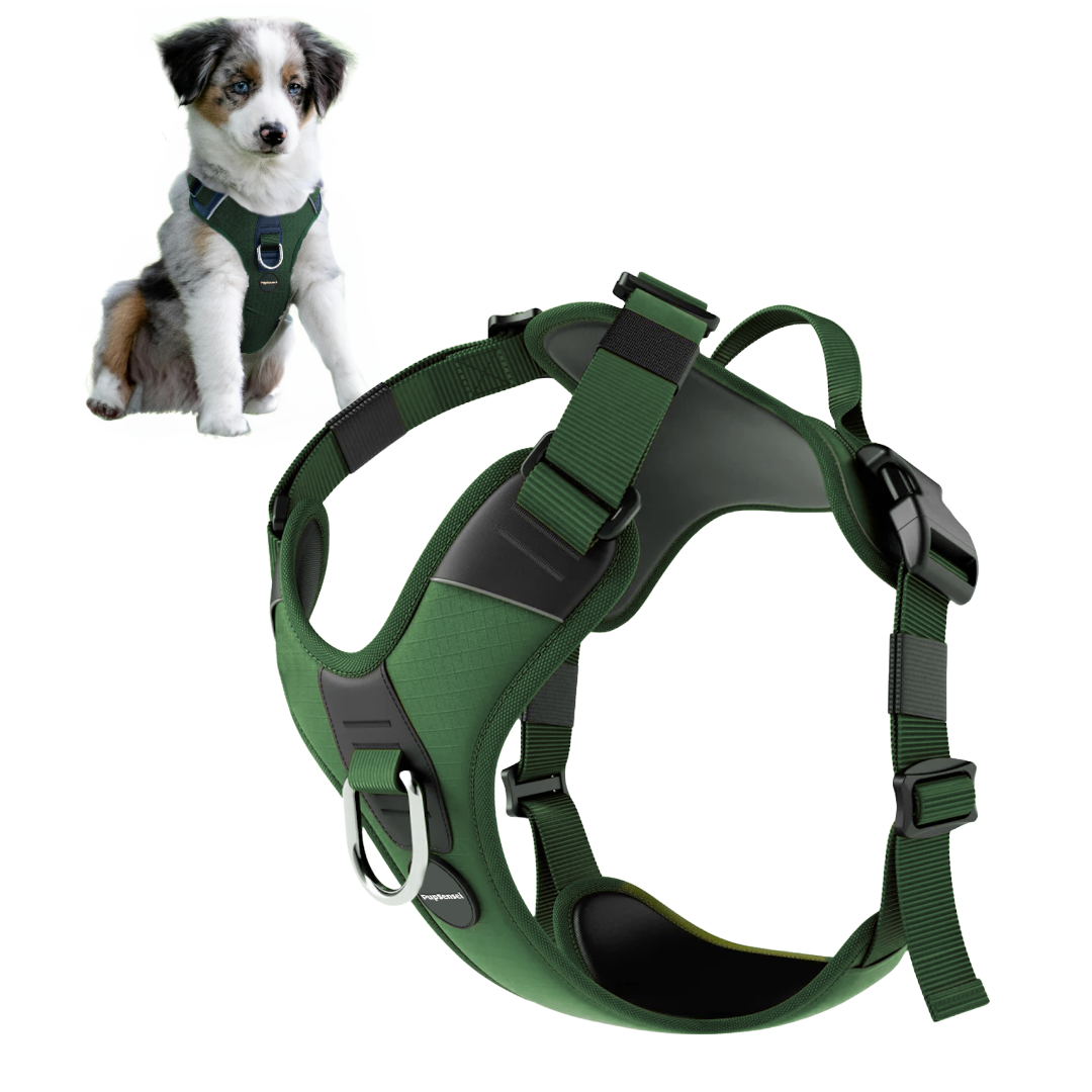 No Pull Dog Harness