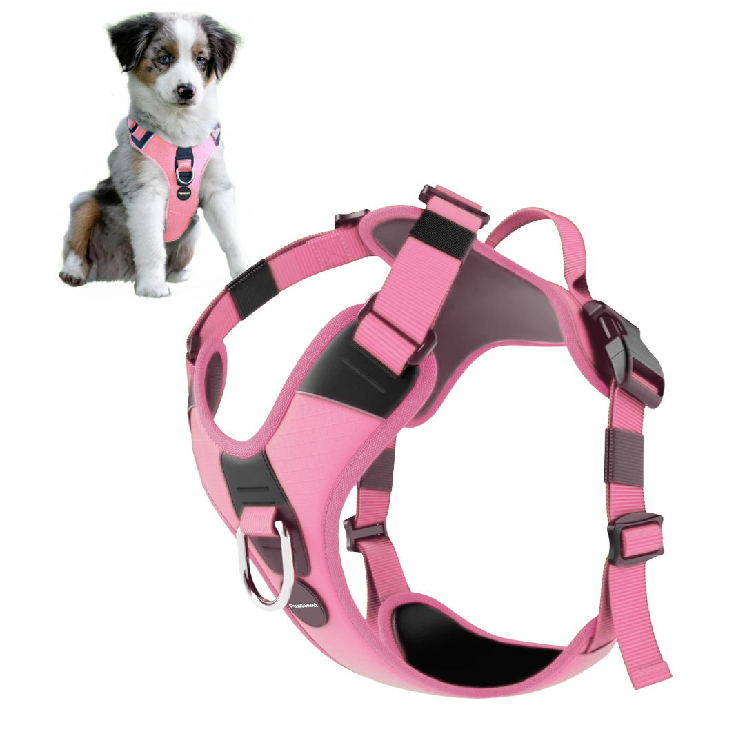 No Pull Dog Harness