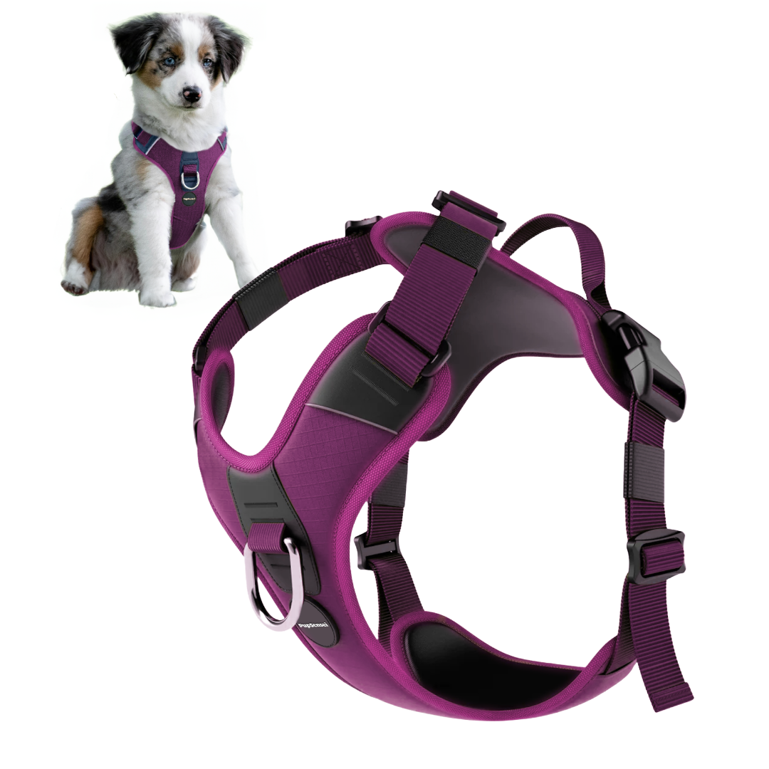 No Pull Dog Harness