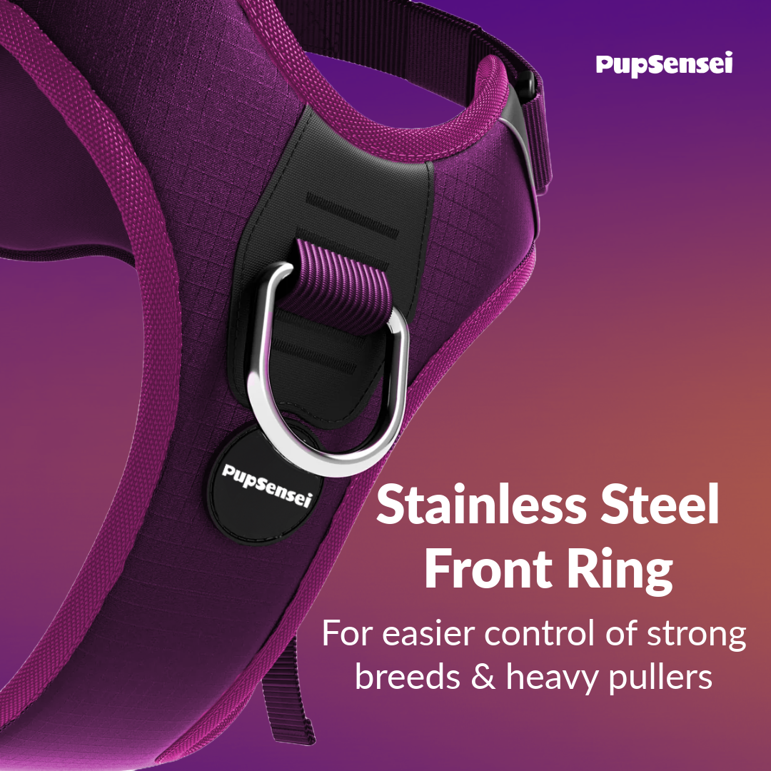 No Pull Dog Harness