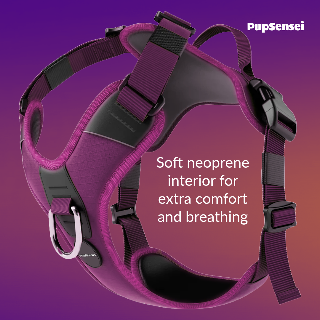 No Pull Dog Harness